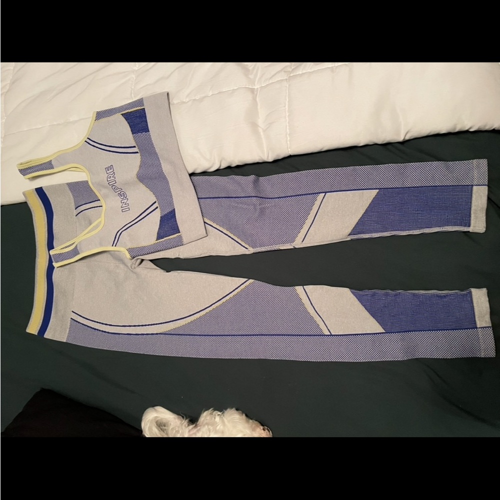 Fabletics Blue and Gray Track Pants